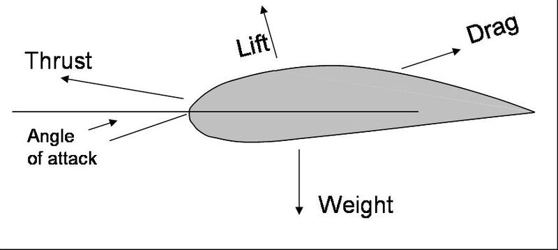 flight © WikiCommons